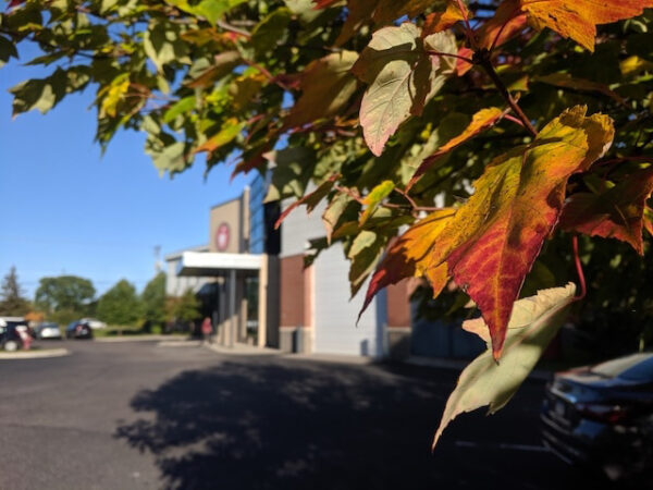 Special Care Dentistry - Apple Tree Dental